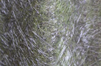 Kirktown Of Fetteresso fibreglass roof work